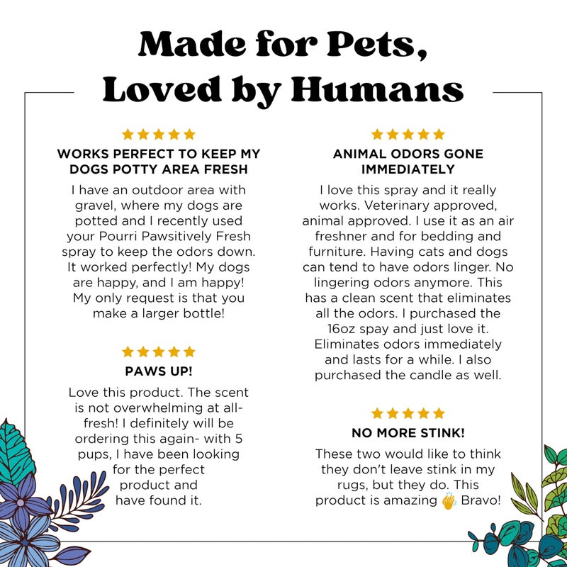 Poo-Pourri Pet-Pourri Pawsitively Fresh Pet Odor Deodorizer Spray, 16 Fl Oz, Up to 800 Uses, Air + Fabric Odor Remover with Essential Oils & Plant Based Ingredients, Vet Recommended, Pineapple, Jasmine & Pear - Image 2