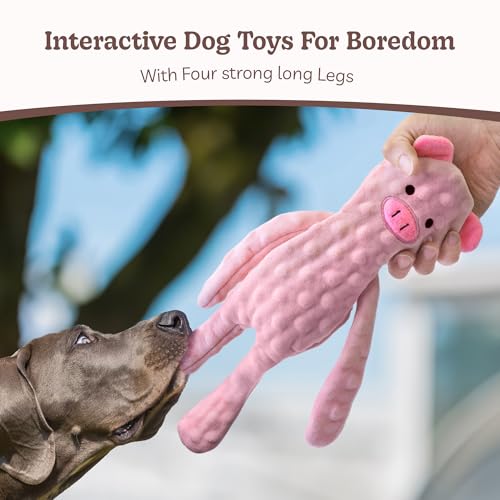 SHARLOVY No Stuffing Dog Toys 5 Pack, Crinkle Interactive Dogs Toy for Boredom, Puppy Toys for Teething to Keep Them Busy, Cute Squeaky Dogs Toy for Small, Medium, and Large Breed - Image 2