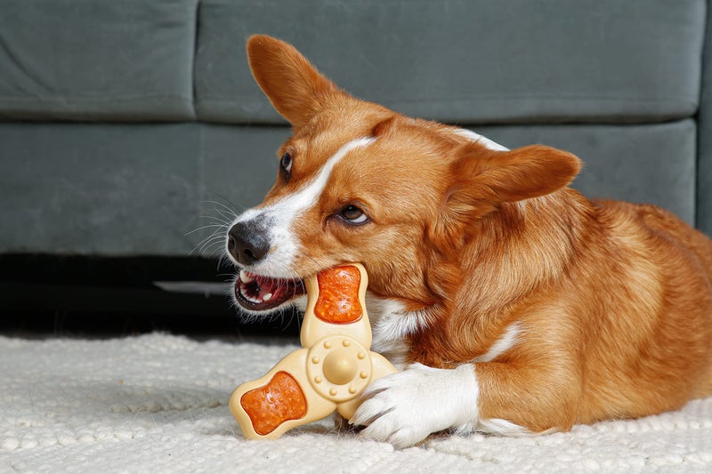 Hartz Chew â€˜n Clean Chew Toy and Treat in One Chicken Flavored Tri-Point Dog Toy, Medium - Image 4