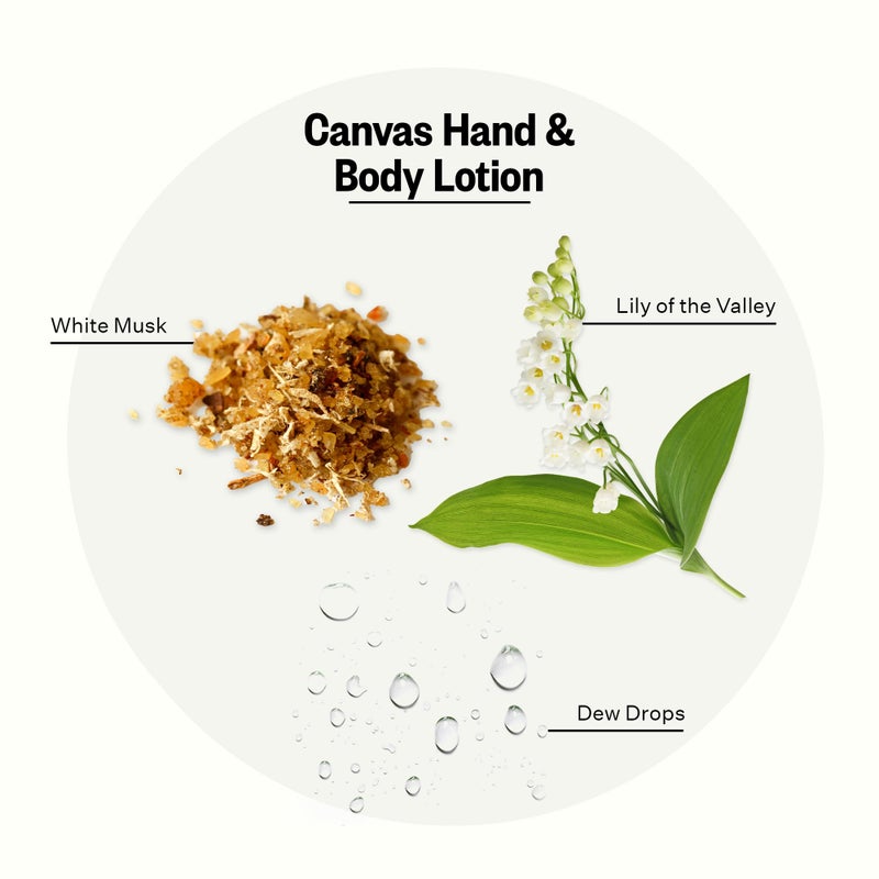 APOTHEKE Scented Hand & Body Lotion, Canvas - 10 Fl Oz Nourishing Body Moisturizer Cream for Dry Skin - Gentle Daily Skincare for Men & Women with Natural Ingredients, All Skin Types - Image 2