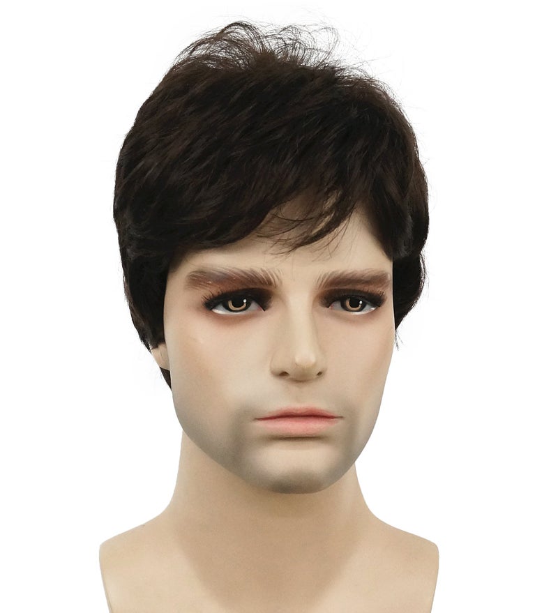 Lydell Men Wig Natural Short Straight Hair Synthetic Full Wigs Chestnut Brown