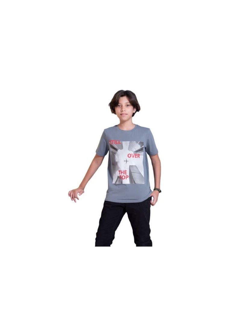 Gray T-shirt for boys