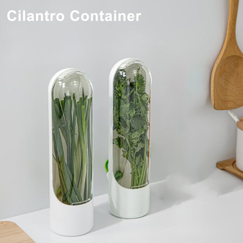 Restynic 2 Pack Herb Keeper Container for Refrigerator, Clear Storage Bottle for Cilantro Parsley Mint, Fresh Produce Saver, Extends Freshness for 2-3 Weeks - Image 3