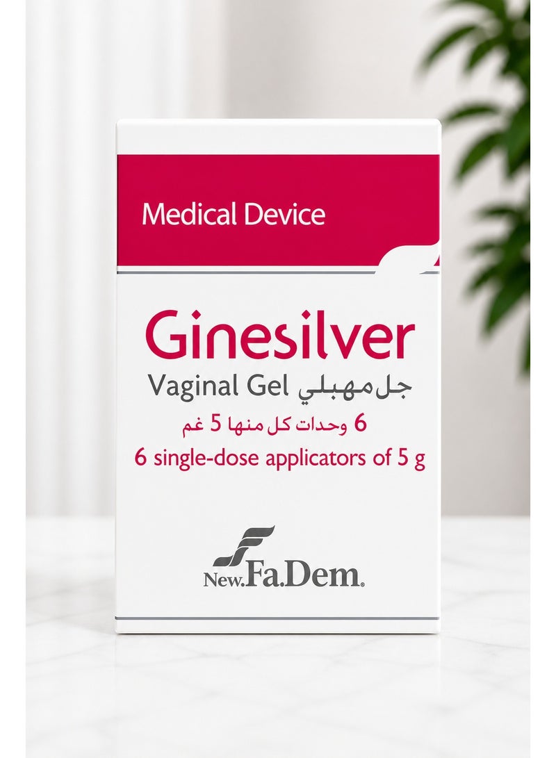GINESILVER VAGINAL GEL 6S
