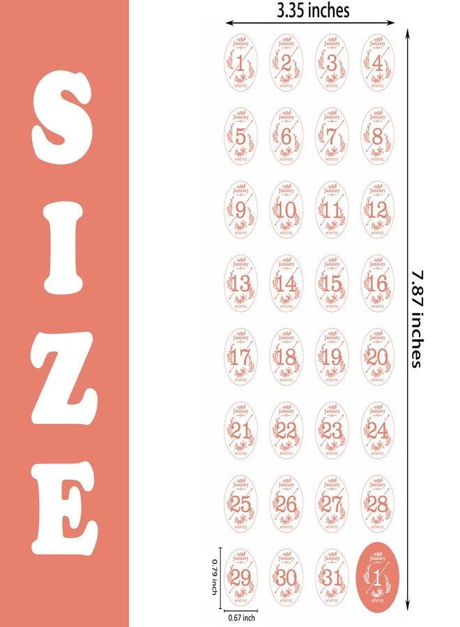 Aixoom 12 Monthly Date Stickers in Colors, 365 Daily Planner Number Stickers, Decorative Sticker Accessories for Customizing Undated Planners, Calendar, Notebooks - Image 2