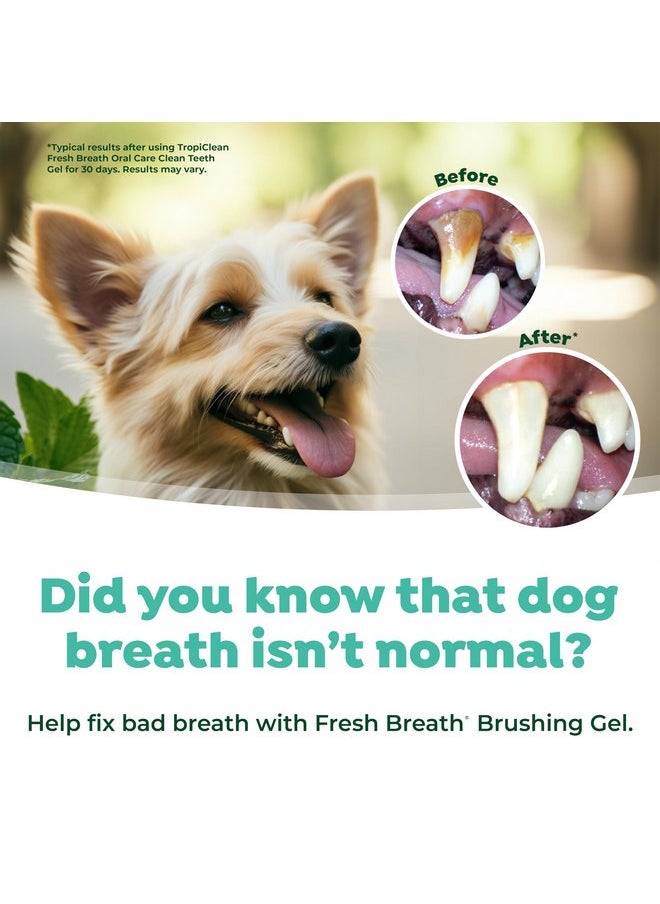TropiClean TropiClean Oral Care Brushing Gel for Dogs & Cats| Dog Toothpaste | Pet Dental Gel | Dog Teeth Cleaning Use with Pet Toothbrush | 2 oz  - Image 4