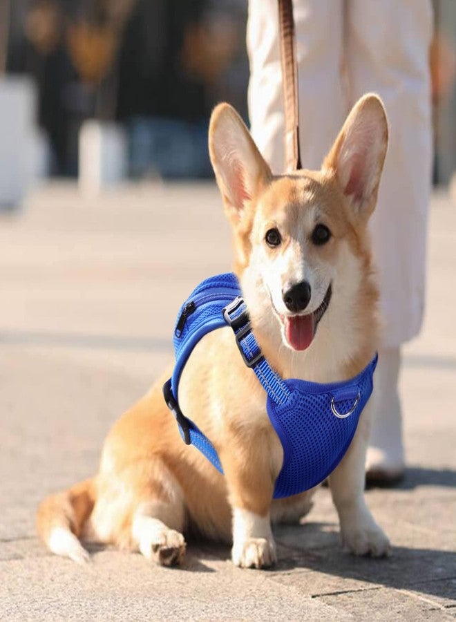 IDOMIK Dog Backpack Harness, No-Pull Dog Backpack with D-Ring for Small Medium Dogs, Cute Self Carrier Backpack for Dogs to Wear, Adjustable Dog Harness Backpack for Traveling Camping Hiking,Shark,S - Image 5