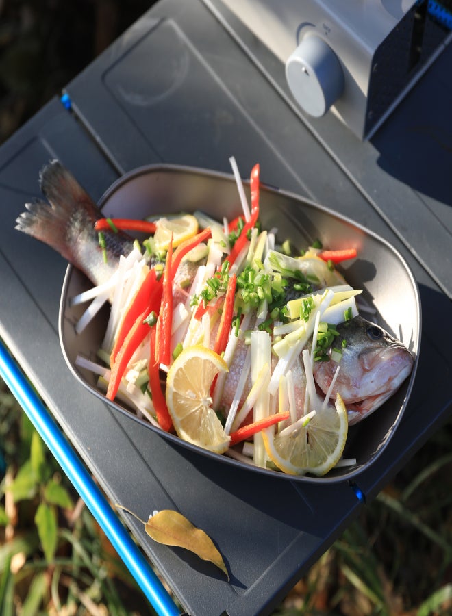 SOUUXIU Titanium Plate Camping Plate BBQ Plate Fish Plate Ultra-Lightweight Stackable and Portable Health-Grade 106g Salad Plates - Image 4