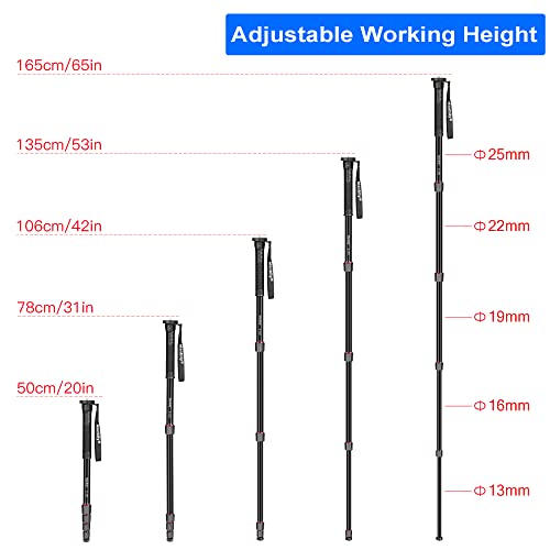 Manbily 65-Inch Camera Monopod, 5 Sections Aluminum Travel Monopod for Canon Nikon Sony DSLR Cameras Video Camcorder, Compact Portable Lightweight（E-222） (Red) - Image 5