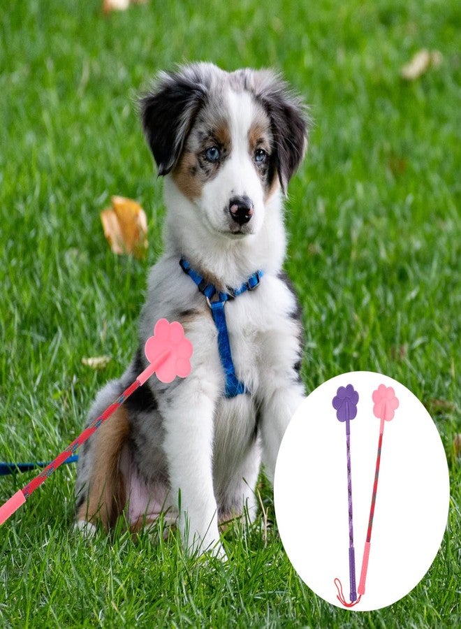 balacoo 2 Pcs Cat Fitness Stick, Dog Training, Target Stick Dog Training, Training Equipment Sticks Tool for Pet Dog Training and Obedience Aid - Image 2