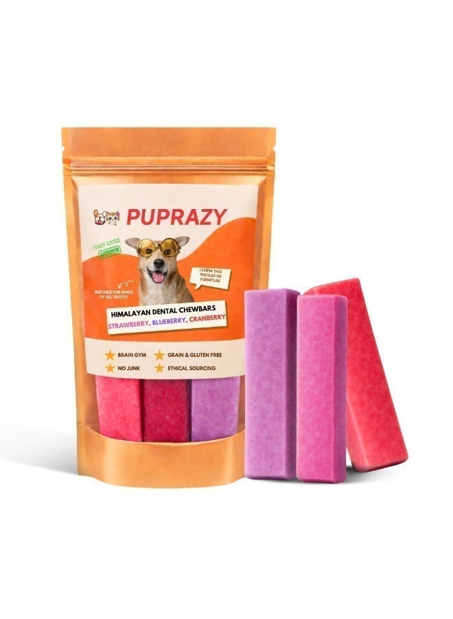 PUPRAZY Himalayan Dog Chew Bars| Blueberry, Strawberry, Cranberry| All Natural, Junk-Free Dental Chews| 3 flavors - Image 1