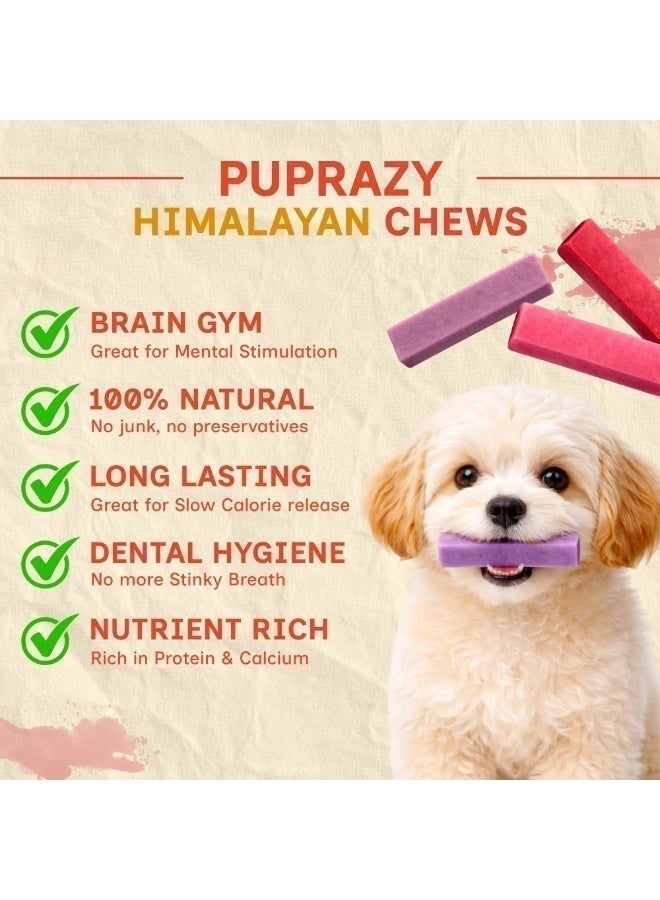 PUPRAZY Himalayan Dog Chew Bars| Blueberry, Strawberry, Cranberry| All Natural, Junk-Free Dental Chews| 3 flavors - Image 2