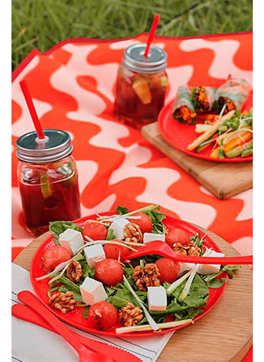 Tchibo 4 Pieces Picnic Plates, Red  - Image 1