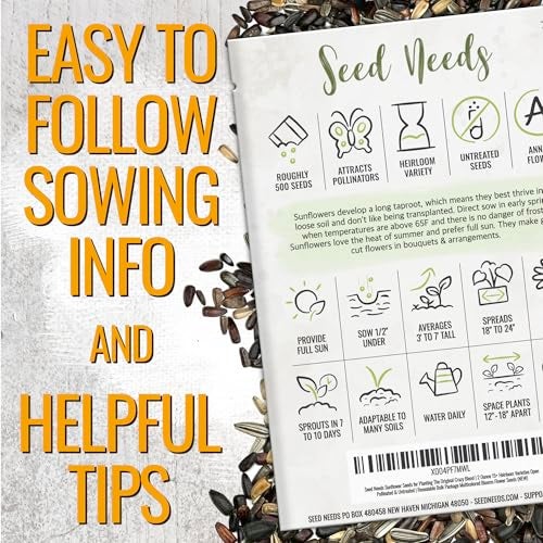 Seed Needs Sunflower Seeds to Plant The Original Crazy Blend | 500+ Heirloom Seeds 15+ Varieties Open Pollinated & Untreated | XL Packet Multicolored Blooms Flower Seed - Image 2