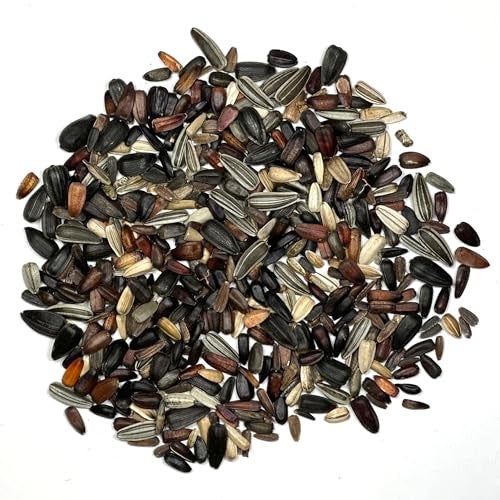 Seed Needs Sunflower Seeds to Plant The Original Crazy Blend | 500+ Heirloom Seeds 15+ Varieties Open Pollinated & Untreated | XL Packet Multicolored Blooms Flower Seed - Image 4