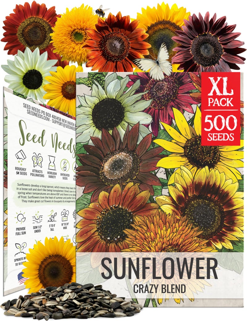 Seed Needs Sunflower Seeds to Plant The Original Crazy Blend | 500+ Heirloom Seeds 15+ Varieties Open Pollinated & Untreated | XL Packet Multicolored Blooms Flower Seed - Image 1
