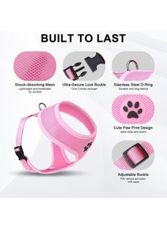 BINGPET Small Dog Harness - Breathable Mesh Puppy Cat Harnesses - No Pull Adjustable Dog Harness Dog Vest Harness for Small and Medium Dogs  - Image 3