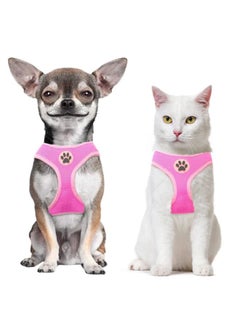 BINGPET Small Dog Harness - Breathable Mesh Puppy Cat Harnesses - No Pull Adjustable Dog Harness Dog Vest Harness for Small and Medium Dogs  - Image 1