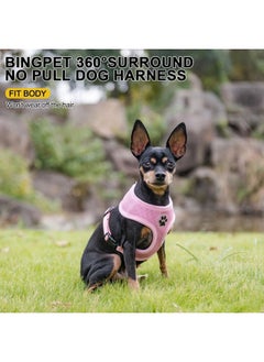 BINGPET Small Dog Harness - Breathable Mesh Puppy Cat Harnesses - No Pull Adjustable Dog Harness Dog Vest Harness for Small and Medium Dogs  - Image 2
