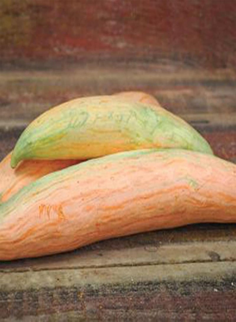 GGOOT 20Pcs Candy Roaster Squash Seeds | DIY Seeds Growing Pack Plant Vegetable Seedlings for Garden Balcony Seeds 1size - Image 3