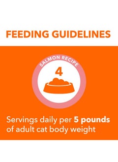 Iams Perfect Portions Indoor Adult Grain Free* Wet Cat Food Cuts In Gravy, Salmon Recipe, (24) 2.6 Oz. Easy Peel TwinPack Trays  - Image 5