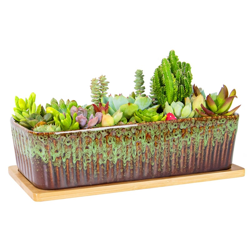 ARTKETTY Succulent Pots - 12 Inch Large Succulent Planters with Drainage Tray, Window Sill Planter, Long Rectangle Ceramic Pots for Indoor Cactus Plants Shallow Bonsai Window Box for Home Garden Decor - Image 1