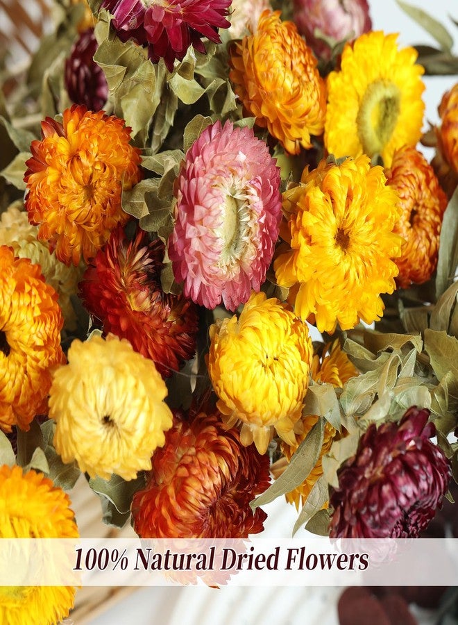 Jtoder Natural Dried Daisy Flowers Bouquet - 20 Pcs Multicolor Dried Flower Bouquets for Home Decoration, Wedding, Party, Centerpieces, DIY Crafts, Fall Decor - Image 2
