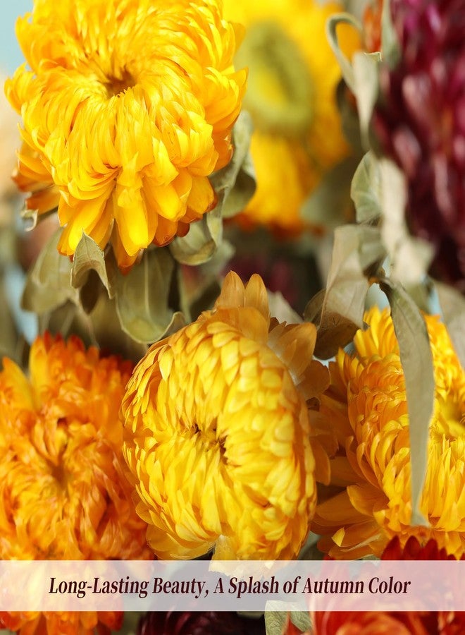 Jtoder Natural Dried Daisy Flowers Bouquet - 20 Pcs Multicolor Dried Flower Bouquets for Home Decoration, Wedding, Party, Centerpieces, DIY Crafts, Fall Decor - Image 4