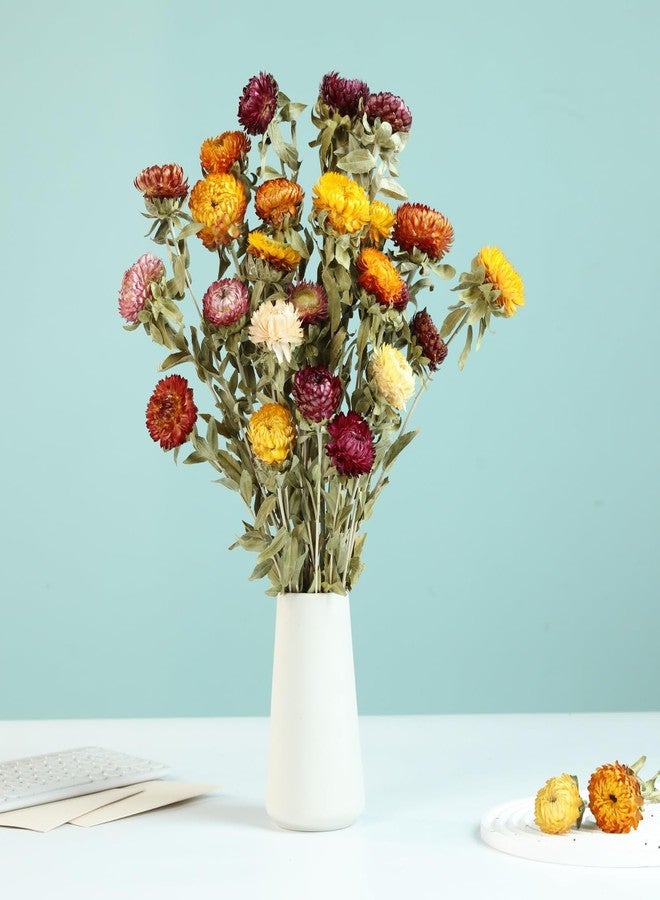 Jtoder Natural Dried Daisy Flowers Bouquet - 20 Pcs Multicolor Dried Flower Bouquets for Home Decoration, Wedding, Party, Centerpieces, DIY Crafts, Fall Decor - Image 3