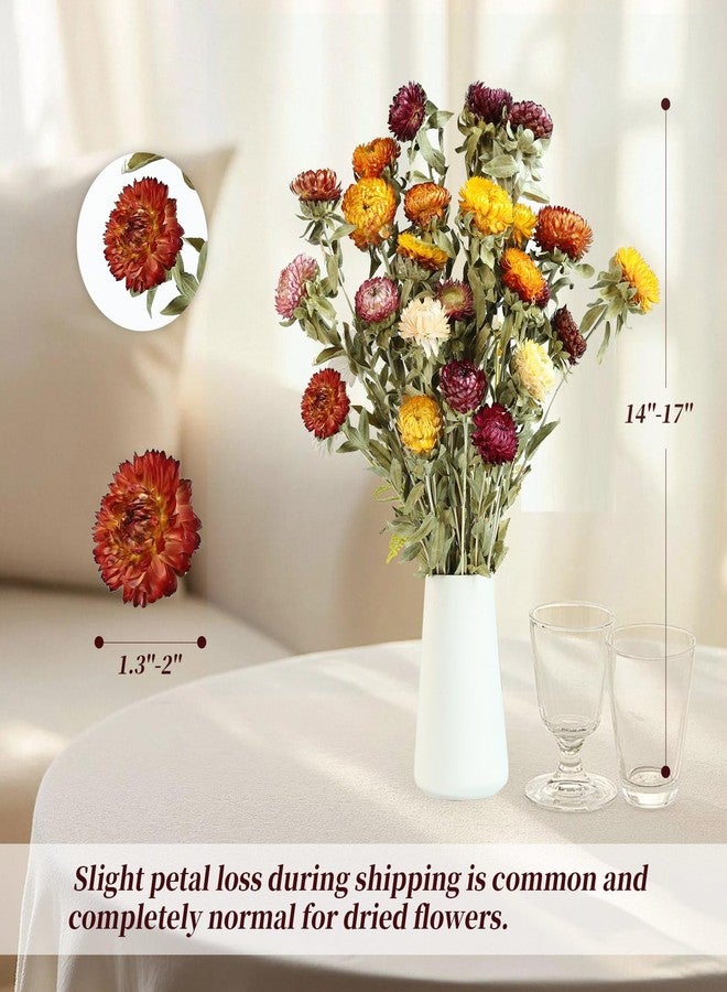 Jtoder Natural Dried Daisy Flowers Bouquet - 20 Pcs Multicolor Dried Flower Bouquets for Home Decoration, Wedding, Party, Centerpieces, DIY Crafts, Fall Decor - Image 5