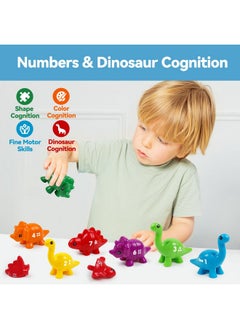 kizh 10 Pcs Double-Sided Dinosaur Matching Number Toy Fine Motor 1 To 10 Math Match Game Preschool Learning Montessori Educational Toys For 3 4 5 Toddlers Boys Girls  - Image 4