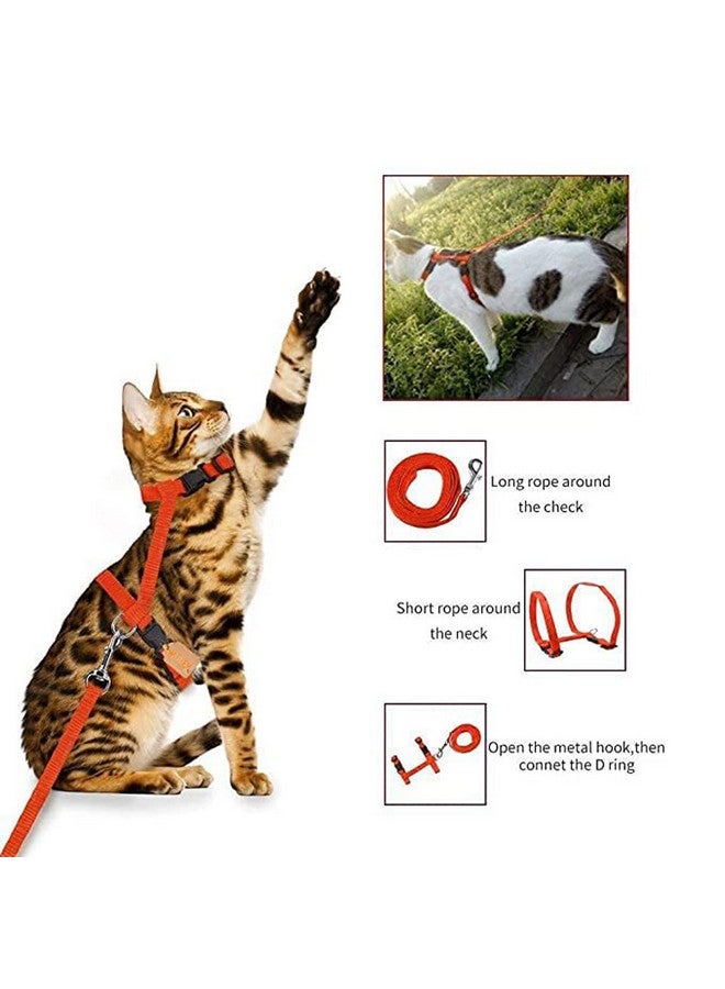 Nylon Leash With Full Body Harness Set For Cats Adjustable & Durable For Small Pet Walking - Color As Per Availability - Image 5