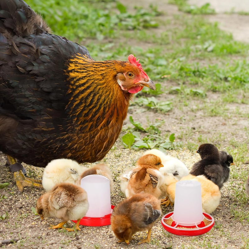 IMIKEYA 1 Set Quail Feeder Chick Feeder Quail Waterer Small Chick Feeder Poultry Chicken Water Jar Poultry Water Bucket Automatic Poultry Water Feeder Poultry Feeding Equipment Feeding Cup - Image 5