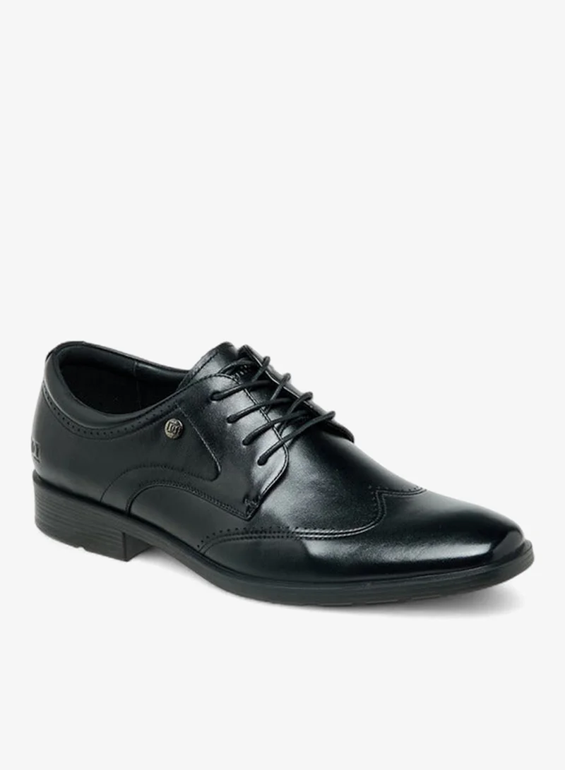 دوتشيني أحذية ديربي جلدية برباط للرجال