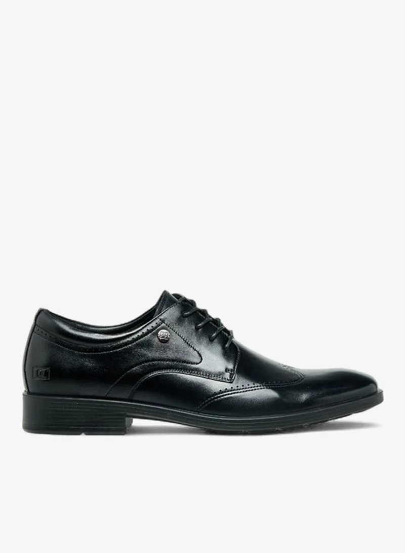 DUCHINI Black Men Lace-Up Leather Derby Shoes for Men | Best Price UAE