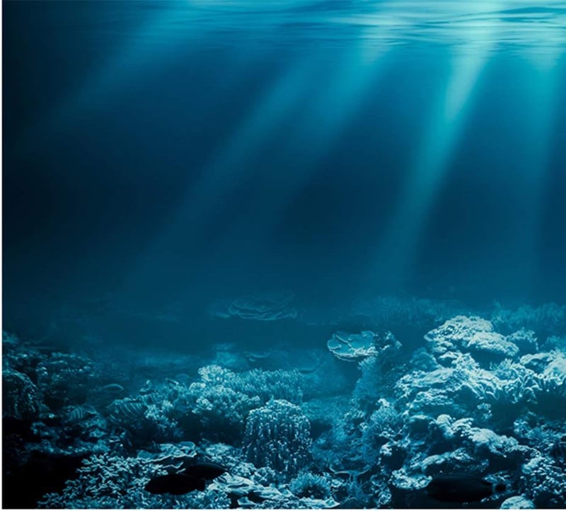 كلاراكو ملصق ثلاثي الأبعاد لخلفية حوض السمك، مصنوع من مادة PVC اللاصقة، مقاس كبير. - Image 2