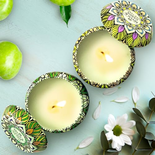 BRYAN  CANDY Bryan & Candy Scented Candles Gift Set for Women & Men| 60gm Each Soy Wax Eco-Friendly Printed Tin, Pack of 2 (Turquoise Blue | Spiced Apple) - Image 5