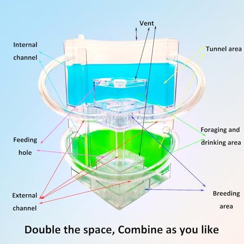 EXBEPE Large 2 Layer Gel Ant Colony Ecosystem Terrarium, Ant Habitat Science Learning Kit - Image 5