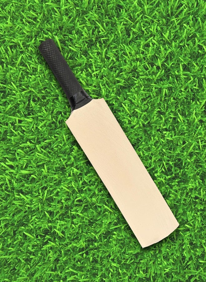 Frixan Show Piece Cricket Bats Miniature Autograph Cricket bat 8 inch Pack of 5 (They Can't be Used for Paying Cricket) - Image 5