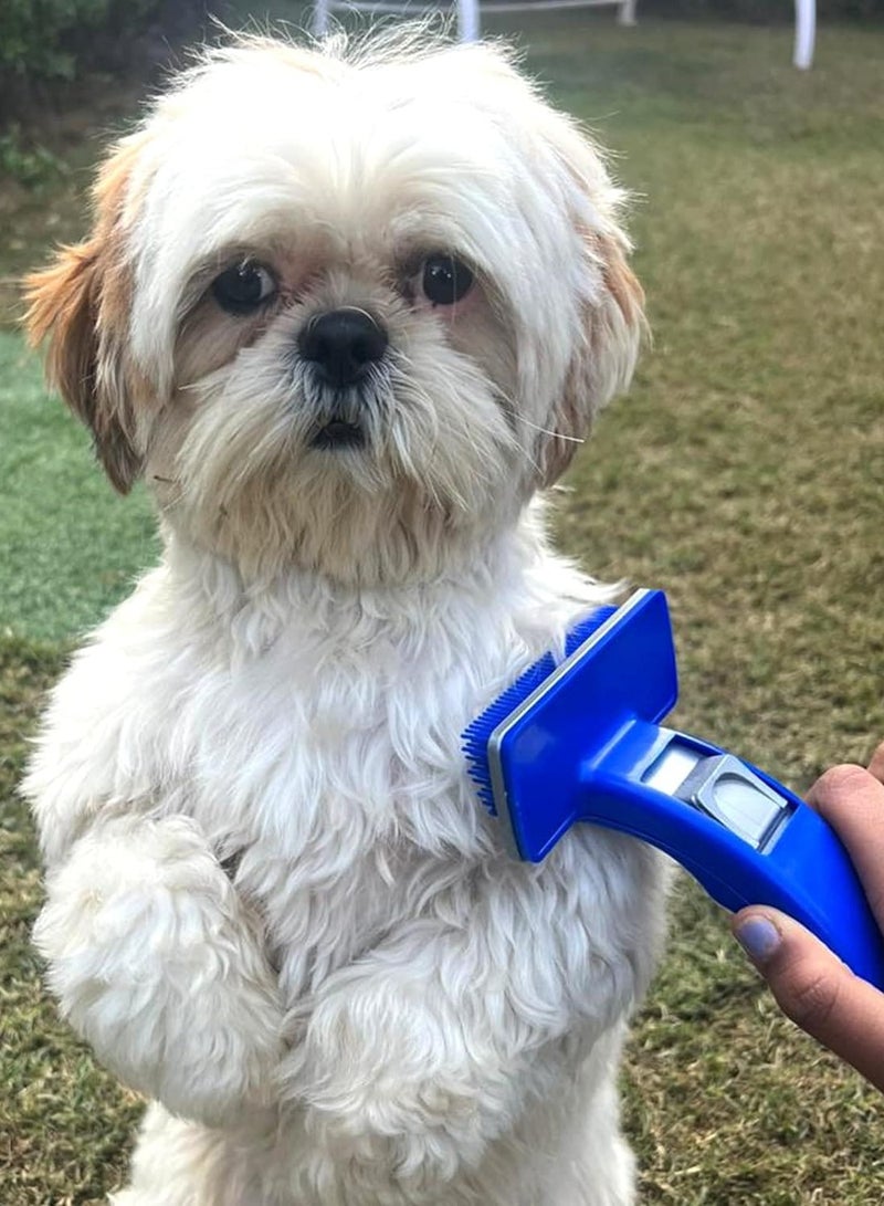 Small blue brush to repel hair loss - Image 3