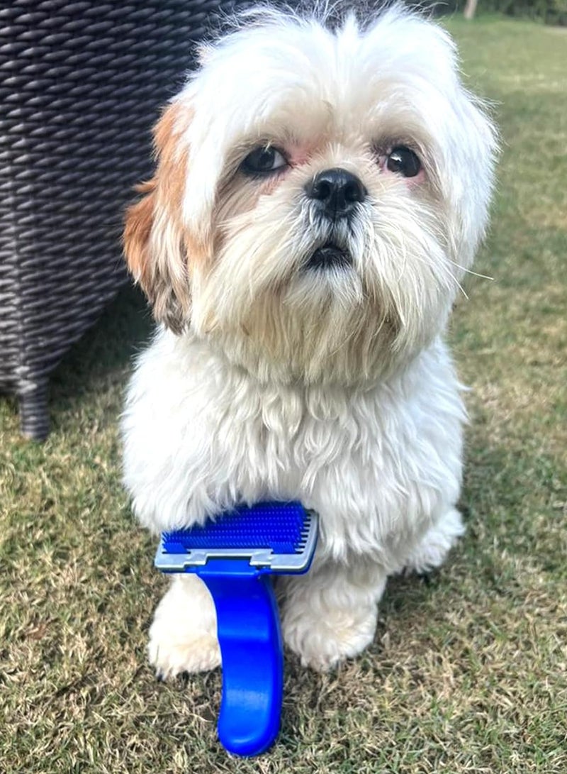 Small blue brush to repel hair loss - Image 2