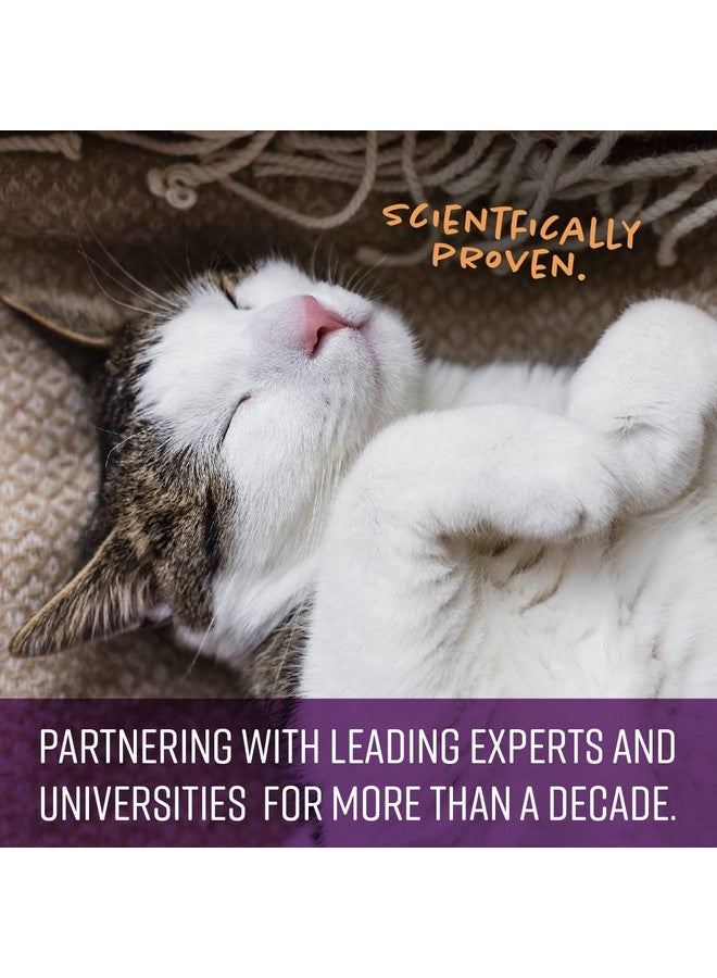 Sentry Calming Chews For Cats, Calming Aid Helps To Manage Stress & Anxiety, With Pheromones That May Help Curb Destructive Behavior & Separation Anxiety, Calming Health Supplement For Cats, 4 Oz. - Image 4