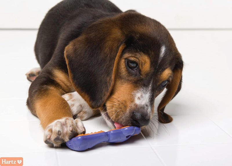 Hartz Chew 'n Clean Dental Duo Extra Small Dog Treat with Bacon Flavor - Image 4