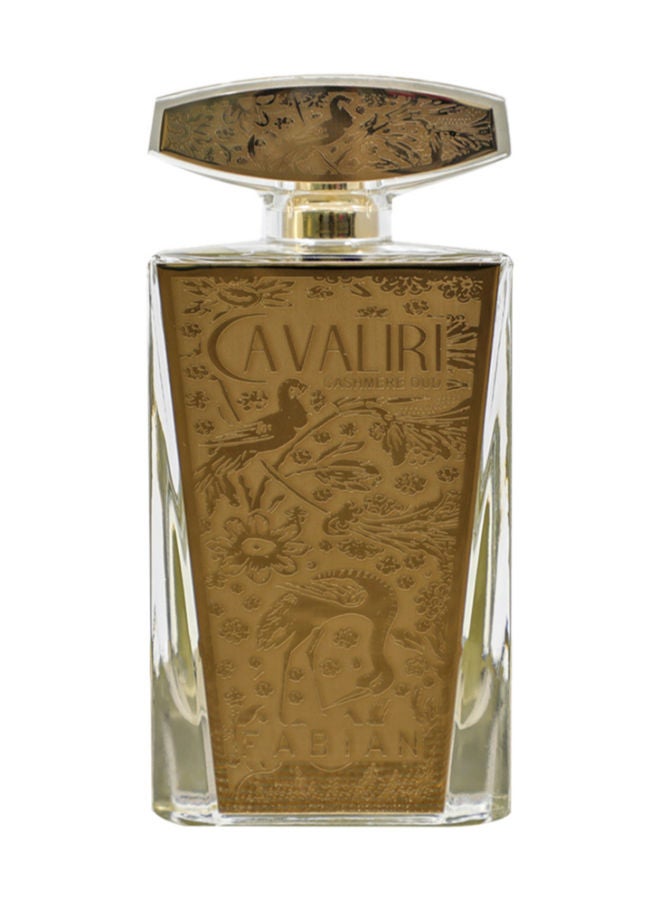 FABIAN Cavaliri Cashmere Oud EDP 100ml - Image 1