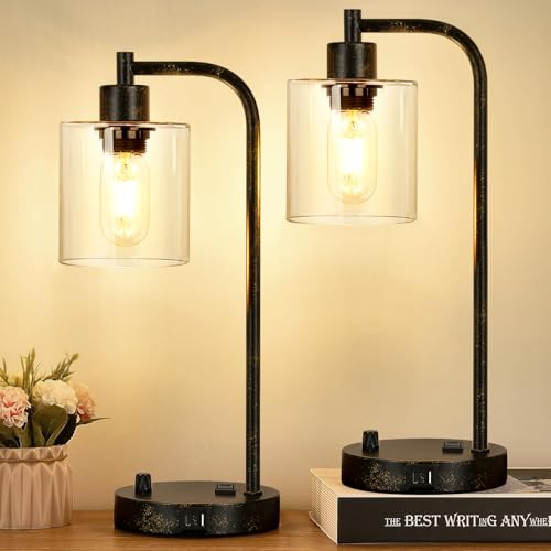 Lynnoland Set of 2 Industrial Table Lamps with USB Port, Rustic Black Fully Stepless Dimmable Bedside Lamps for bedrooms, Nightstand Desk Lamps with Clear Glass Shade for Reading Living Room Office 2 LED Bulb - Image 1