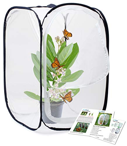 RESTCLOUD Insect and Butterfly Habitat Cage Terrarium Popup 236 Inches Tall - Image 1