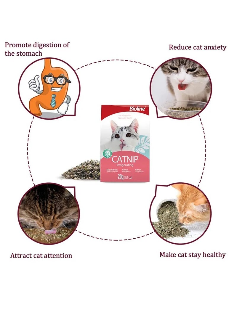 Bioline Catnip Infused Aromatic And Long Lasting For Cats 2X20g - Image 3