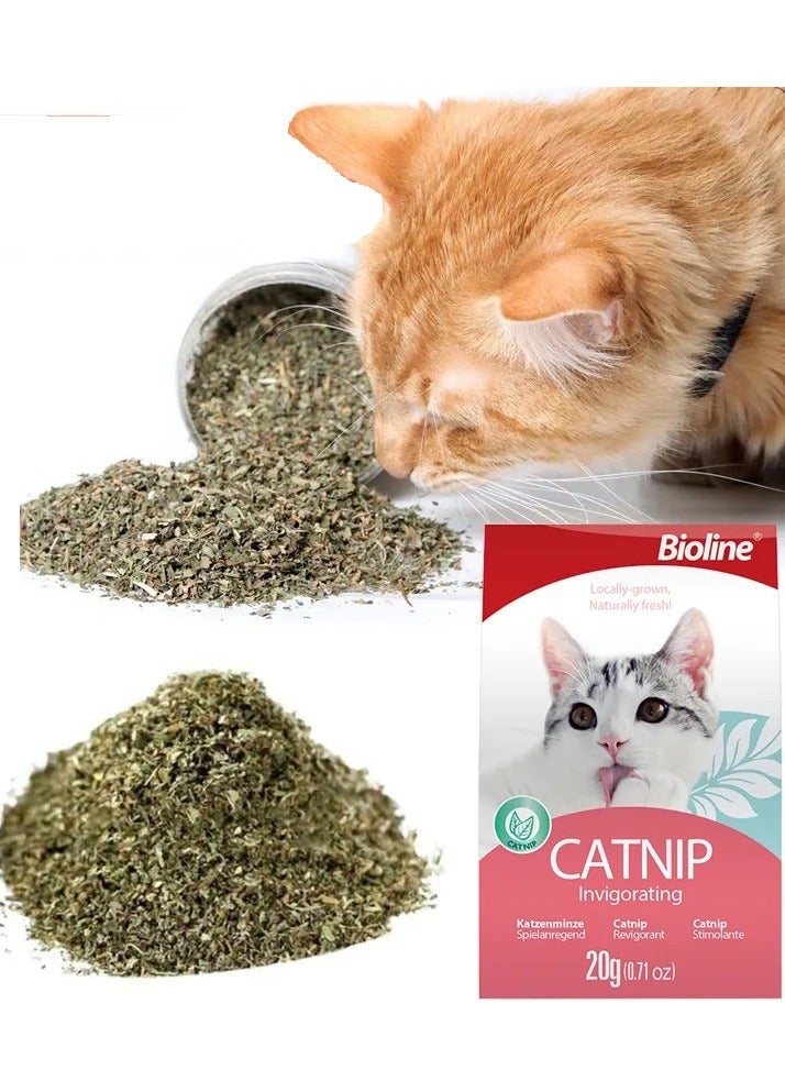 Bioline Catnip Infused Aromatic And Long Lasting For Cats 2X20g - Image 2