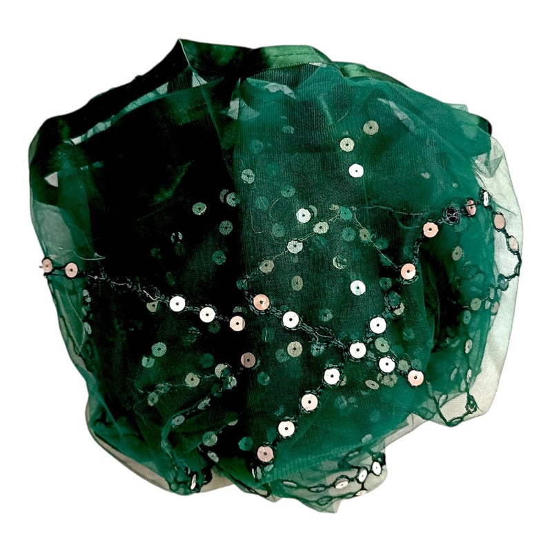ARIPAN Net mirror sitara dupatta embroidry work sequins for women and girls free size 2m pack of 1pcs - Image 5