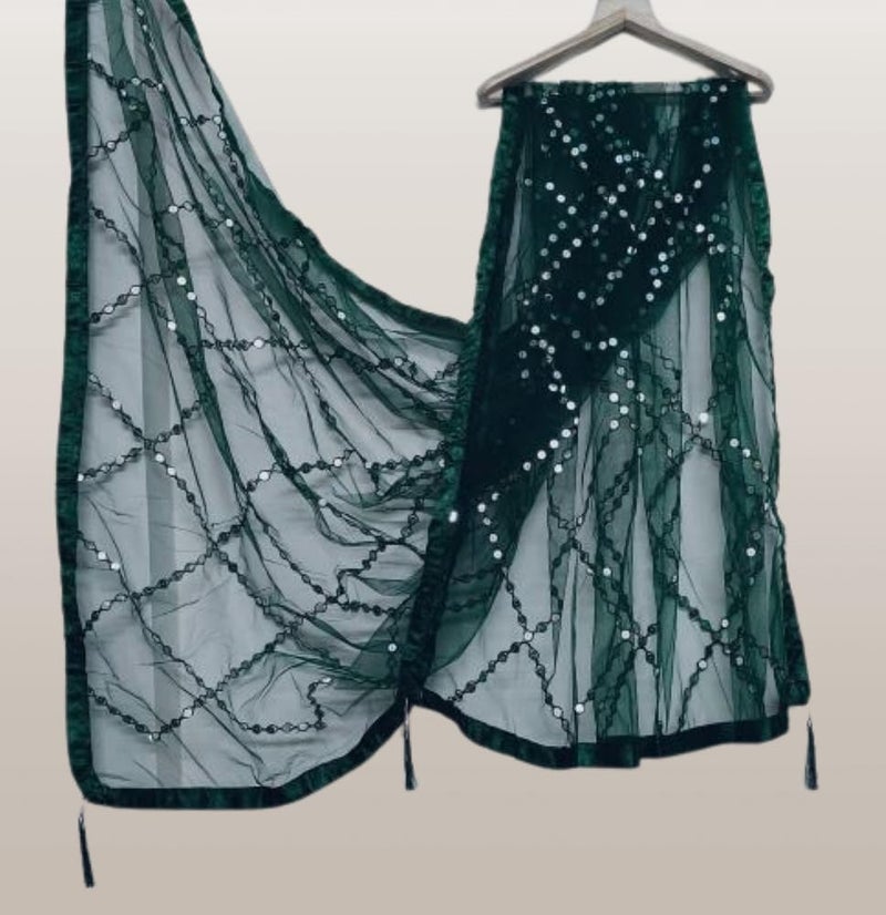 ARIPAN Net mirror sitara dupatta embroidry work sequins for women and girls free size 2m pack of 1pcs - Image 2